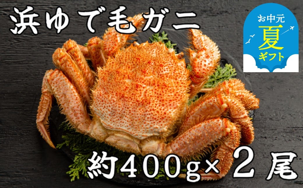 
            37-14 【お中元】流氷明け浜ゆで毛ガニ約400g×2尾
          