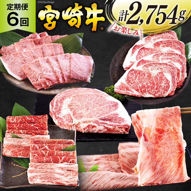 【ふるさと納税】6回 定期便 宮崎牛 ロースステーキ 肩焼肉 ワンポンドステーキ もも バラ すき焼き 肩ロース 約3kg [日本ハムマーケティング 宮崎県 美郷町 31bd0024] 冷凍 送料無料 国産 黒毛和牛 A5 A4等級 ブランド 牛肉 霜降り バーベキュー キャンプ BBQ 宮崎県産