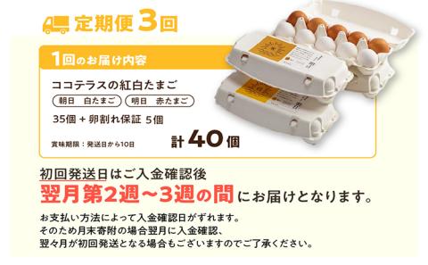 【3ヵ月定期便】ココテラスの紅白たまご　35個 + 5個保証（計40個）