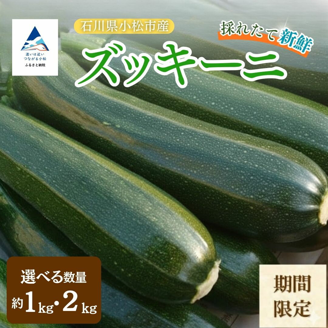 【ふるさと納税】《 小松市産 》ズッキーニ 【選べる】約1kg( 5本前後 ）/ 約2kg ( 10本前後 ) | 石川県 小松市【JAあぐり】 008073