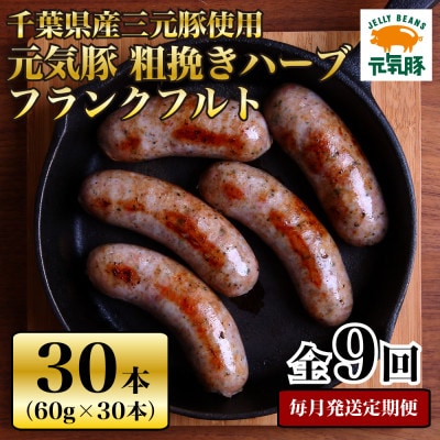 【毎月定期便】元気豚 粗挽きハーブフランクフルト 30本セット 1.8kg(60g×30本)全9回【配送不可地域：離島・沖縄】【4055504】