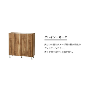 シューズボックス 【リアル 100 LO】 グレイシーオーク_シューズボックス リアル 100 LO 大川家具 グレイシーオーク 靴箱 靴 収納 可動棚 お洒落 国内製造 お取り寄せ 福岡県 久留米市