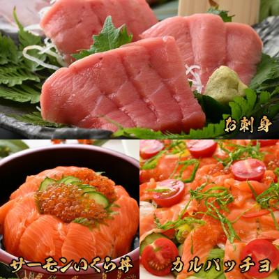 ふるさと納税 福井市 【市場直送】本まぐろ中とろ(柵)100gとお刺身サーモン(柵)100gセット |  | 01