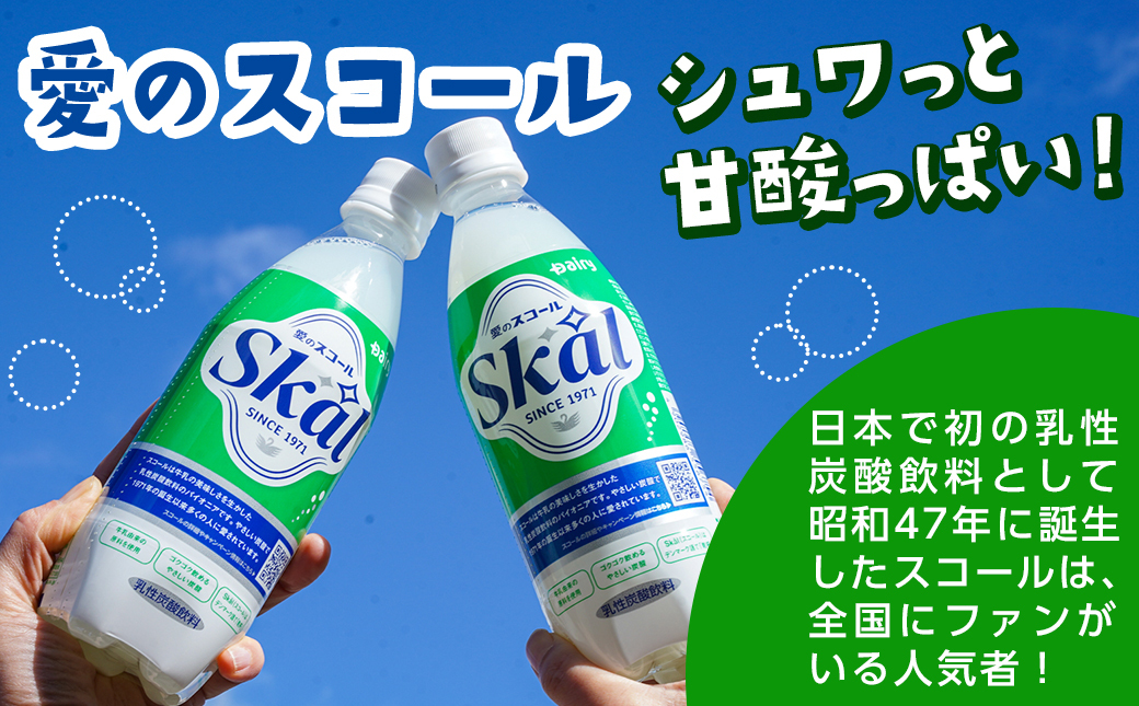 愛のスコール 500ml×24本_AA-2302