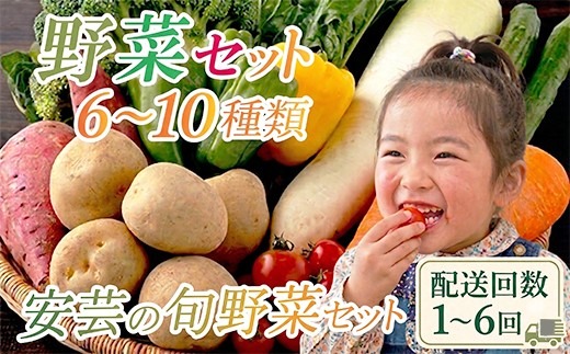「安芸ブランド」新鮮お野菜詰め合わせセット 6～10種類 | 定期便 2回 3回 4回 6回 頒布会 人気 野菜 詰め合わせ セット 新鮮野菜 野菜定期便 野菜セット 季節の野菜 地元産 おすすめ ジャガイモ 玉ねぎ 人参 タマネギ にんじん トマト きゅうり なす 旬野菜 新鮮 お試し やさい定期便 野菜 定期便 5000円 5千円 5,000円 1万円 安芸駅ぢばさん市場 高知県 安芸市