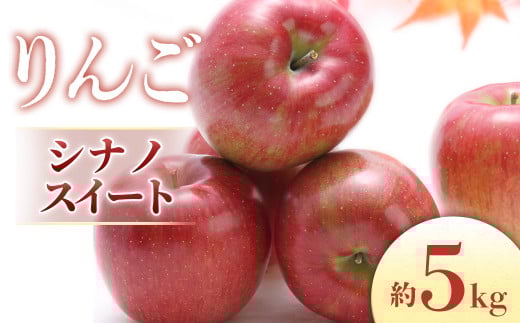 【2026年発送先行予約】りんご シナノスイート 約5kg（10～18玉入り）※2026年10月発送予定※