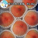 【ふるさと納税】香川の桃 化粧箱　約1.8kg【2025-6月中旬～2025-8月上旬配送】 | 柔らかい ギフト プレゼント 贈り物 モモ 果物 フルーツ 瀬戸内 香川県 高松市