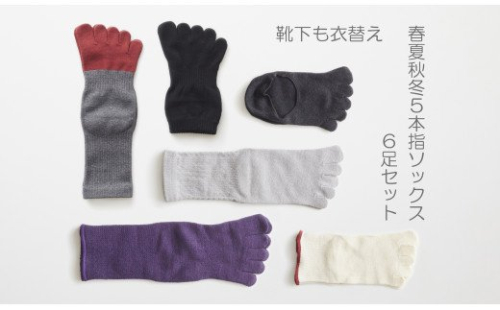 422.5本指ソックス春夏秋冬セット(22-24cm)(A422-3)