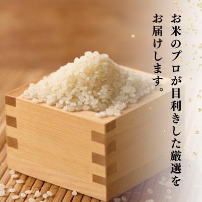 ふるさと納税 館山市 千葉県産こしひかり(精米)10kg(5kg×2袋) |  | 02