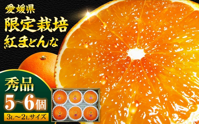 
                   紅まどんな 秀品 5から6個入（JA愛媛たいき管内産）【先行予約】【11月下旬から順次発送】愛媛県大洲市/株式会社フジ・アグリフーズ[AGBA003] 先行予約 みかん ミカン 蜜柑 紅マドンナ 紅まどんな 果物 くだもの フルーツ 愛媛県産 大洲市産 産地直送 おすすめ 人気 お取り寄せ 送料無料 贈答 ギフト
                