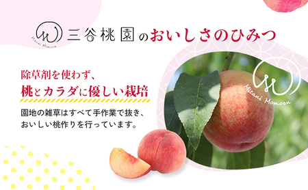 訳あり 桃 約4kg 13～15玉 桃桃桃桃桃