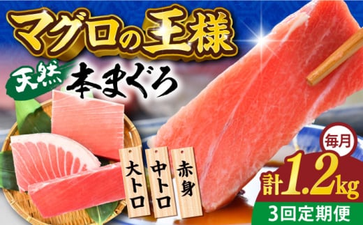 【全3回定期便】天然 本まぐろ 大トロ・中トロ・赤身（約200ｇ×6柵）約1200ｇ  鮪 マグロ 魚 刺身 横須賀【横須賀商工会議所 おもてなしギフト事務局（本まぐろ直売所）】 [AKAK077]