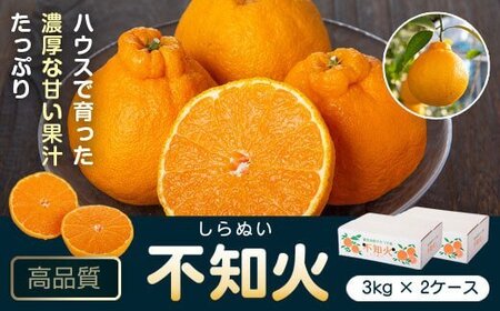 【A18008】＜先行予約受付中！2026年2月より収穫ができ次第順次発送予定＞肝付町産不知火(しらぬい)(計6kg・3kg×2ケース)国産 フルーツ 果物 柑橘 みかん デコポン しらぬい 不和火【JA鹿児島きもつき高山支所】