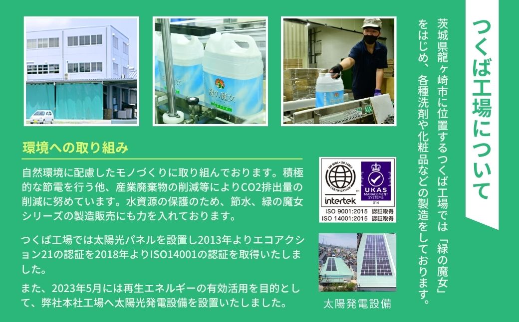 洗濯洗剤 部分洗い用 緑の魔女エリソデプレウォッシュ 280mL×24 | 洗濯洗剤 洗濯用洗剤 環境洗剤 植物由来