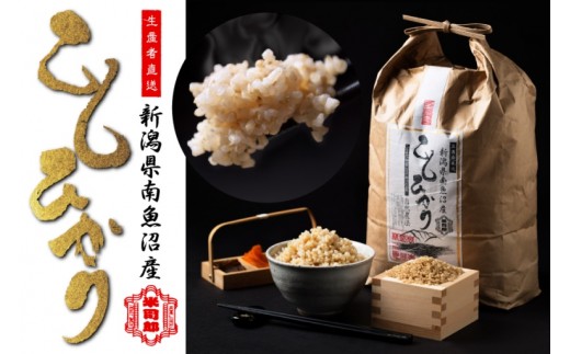 
                  【令和7年産】【玄米】自然農法/化学肥料不使用の南魚沼産こしひかり5kg　【魚沼産 銘柄米 特A コシヒカリ こしひかり 新潟米 玄米 和食向 国産米 定番米 高評価 産地直 家庭用 ブランド米 味重視】
                