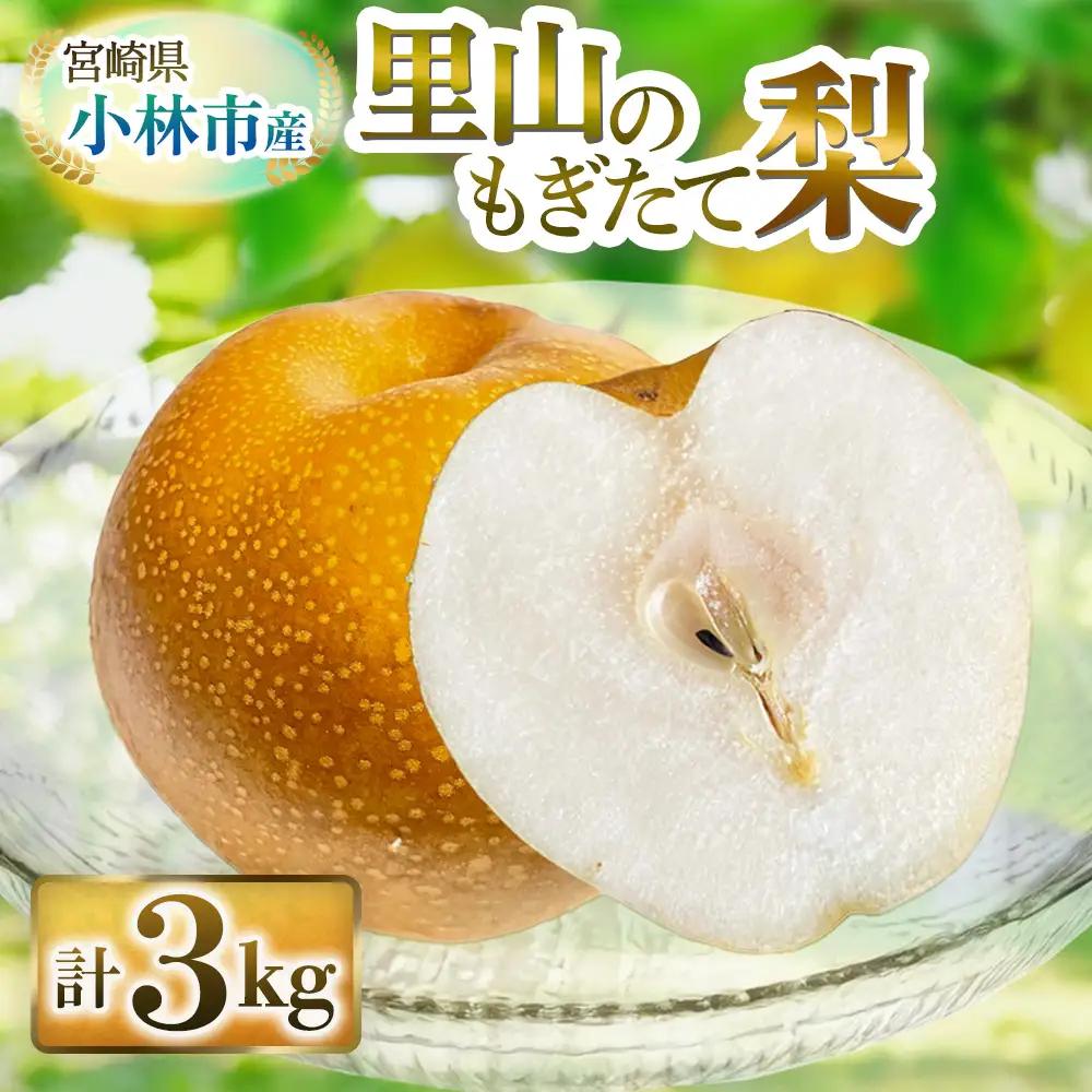【産直もぎたて】里山のもぎたて梨　計3kg