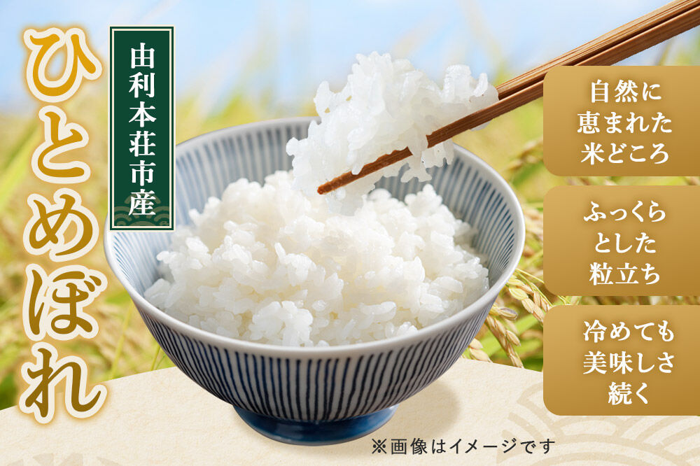 《2週間毎お届け》【定期便5回】令和8年産 新米受付【白米】ひとめぼれ 10kg（5kg×2袋）特別栽培米   秋田県産 [ひとめぼれ 新米予約 米 お米 白米 精米 特別栽培米 ブランド米 食卓 お