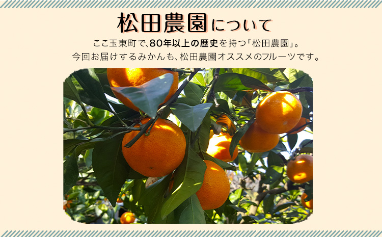 みかん ご家庭用『松田農園』ご家庭用みかん 約5kg(S-2Lサイズ) たっぷり 【日付指定不可】 予約受付中 フルーツ 秋 旬 約5kg 熊本県玉名郡玉東町『松田農園』 こだわり ミカン！ちょこっと