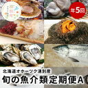 【ふるさと納税】【国内消費拡大求む】北海道オホーツク湧別産　旬の魚介類　定期便A　【定期便・ 魚貝類 生牡蠣 かき ウニ 】