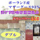 【ふるさと納税】訳アリ 羽毛布団【ポーランド産マザーグース93%】ダブル 190×210cm 羽毛掛け布団【ダウンパワー440】 羽毛 ダウン 羽毛ふとん 掛け布団 綿100% 二層式立体キルト ポーランド産 マザーグースダウン 93%