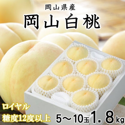 【先行受付】岡山白桃 ロイヤル 5～10玉 1.8kg 岡山県産【配送不可地域：離島・北海道・沖縄】【1305703】