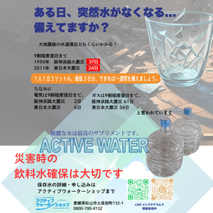 アクティブウォーター5年保存水12L×2本 ボトルスタンド・バルブ付き | 保存水 備蓄 長期保存用 非常用 非常 防災用 災害用 5年 長期保存 災害 保存 ラベルレス 防災 ペットボトル 愛媛県 
