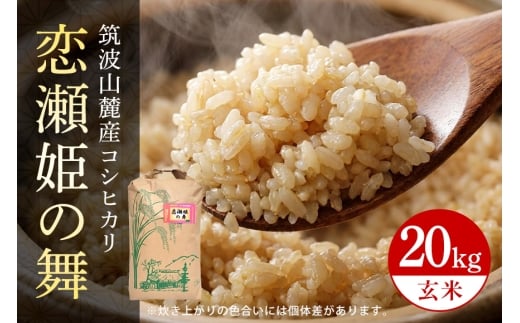 【玄米20kg】筑波山麓厳選米【特A】令和7年産コシヒカリ（恋瀬姫の舞） B07-022