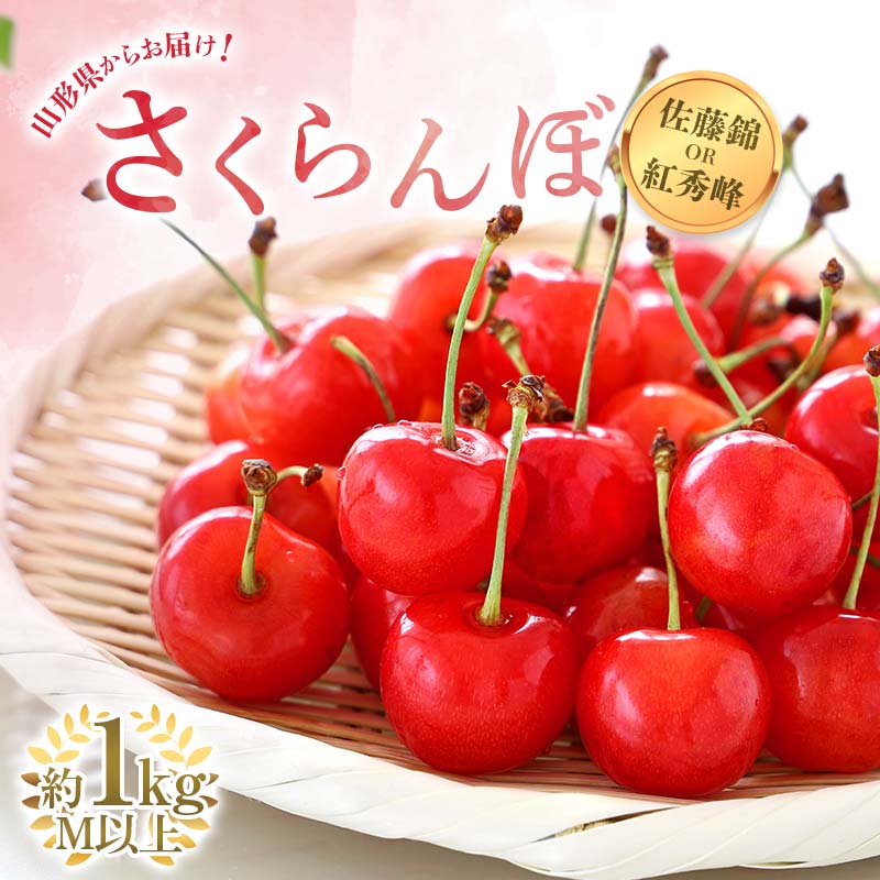 【ふるさと納税】 【令和8年産先行予約】 さくらんぼ 「佐藤錦または紅秀峰」 約1kg (秀 M以上) バラ詰め 《令和8年6月中旬～発送》 『南陽中央青果市場』 サクランボ 果物 フルーツ 山形県 南陽市 [2582]