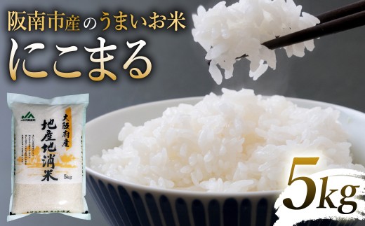 令和7年産 阪南市産のうまいお米 5kg ×1袋 / 精米 単一原料米 にこまる