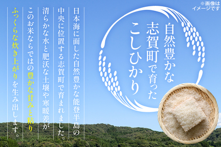 米 令和7年産 コシヒカリ 精米 3kg [能登ファーム志賀 石川県 志賀町 CH4012]