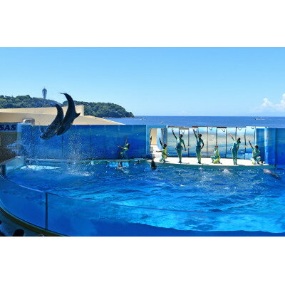 【ふるさと納税】新江ノ島水族館親子ペア入場券(大人1名+子ども中学生以下1名)【1597767】