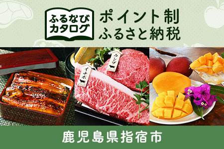 【有効期限なし！後からゆっくり特産品を選べる】鹿児島県指宿市カタログポイント