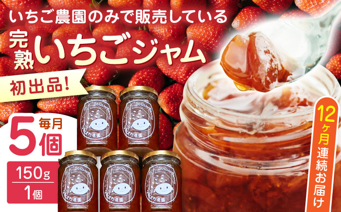 【限定数量】【全12回定期便】熊本県産 いちごジャム ( 150g × 5個 ) 小分け 熊本 山都町 常温【なかはた農園】[YBI041] 