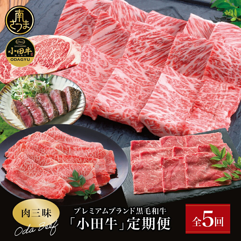 【ふるさと納税】【全5回】プレミアムブランド「小田牛」定期便［肉三昧］ 鹿児島県産 黒毛和牛 ステーキ リブステーキ すき焼き 焼肉 カタロース カルビ モモ 冷凍 小田畜産 南さつま市 送料無料