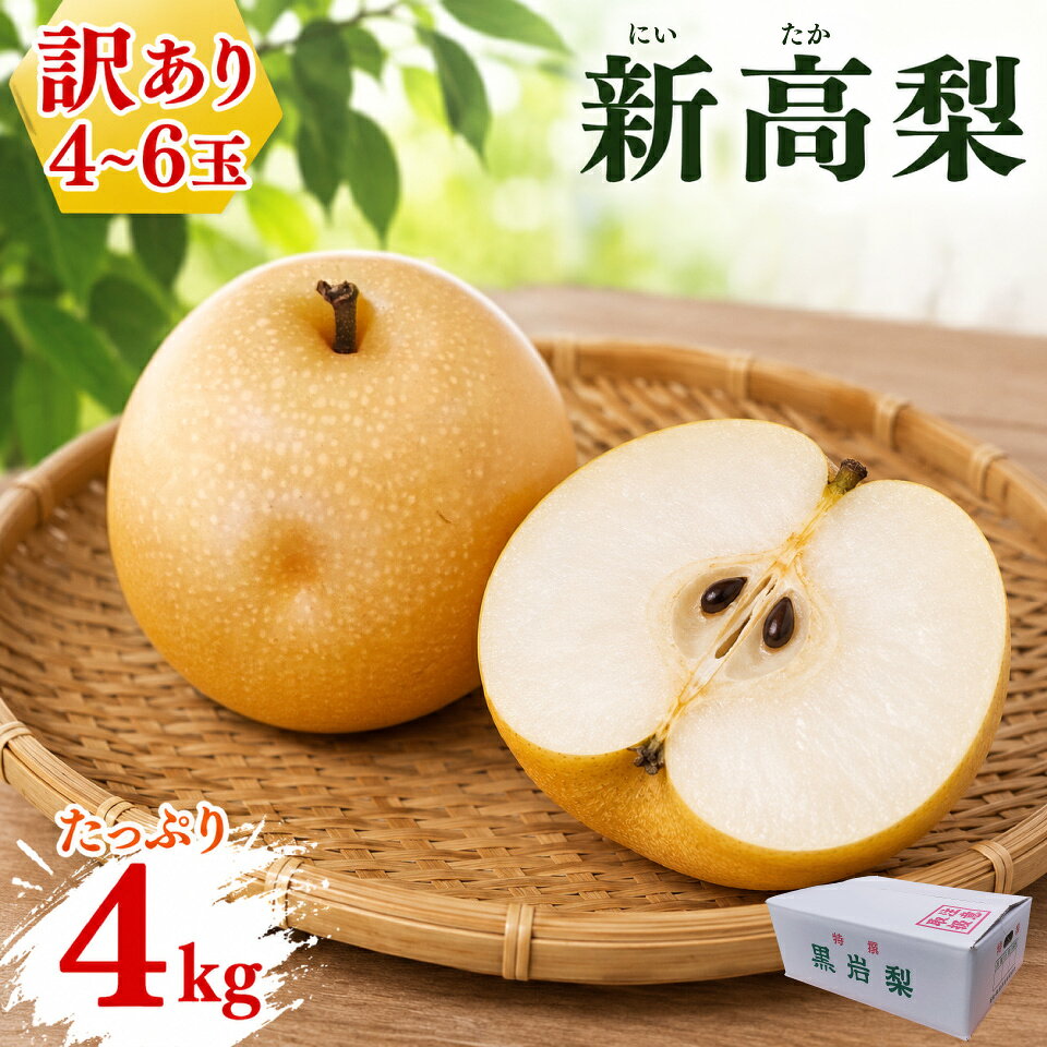 【ふるさと納税】＜2026年9月下旬頃より出荷予定＞＜訳あり 規格外 新高梨 4kg(4～6玉)＞家庭用 自宅用 変形 しみ キズ サイズ混合 ナシ フルーツ グルメ【常温】 黒岩 なし 旬 大玉 大きい朝ドラらんまんモデル 牧野富太郎のふるさと 佐川から直送