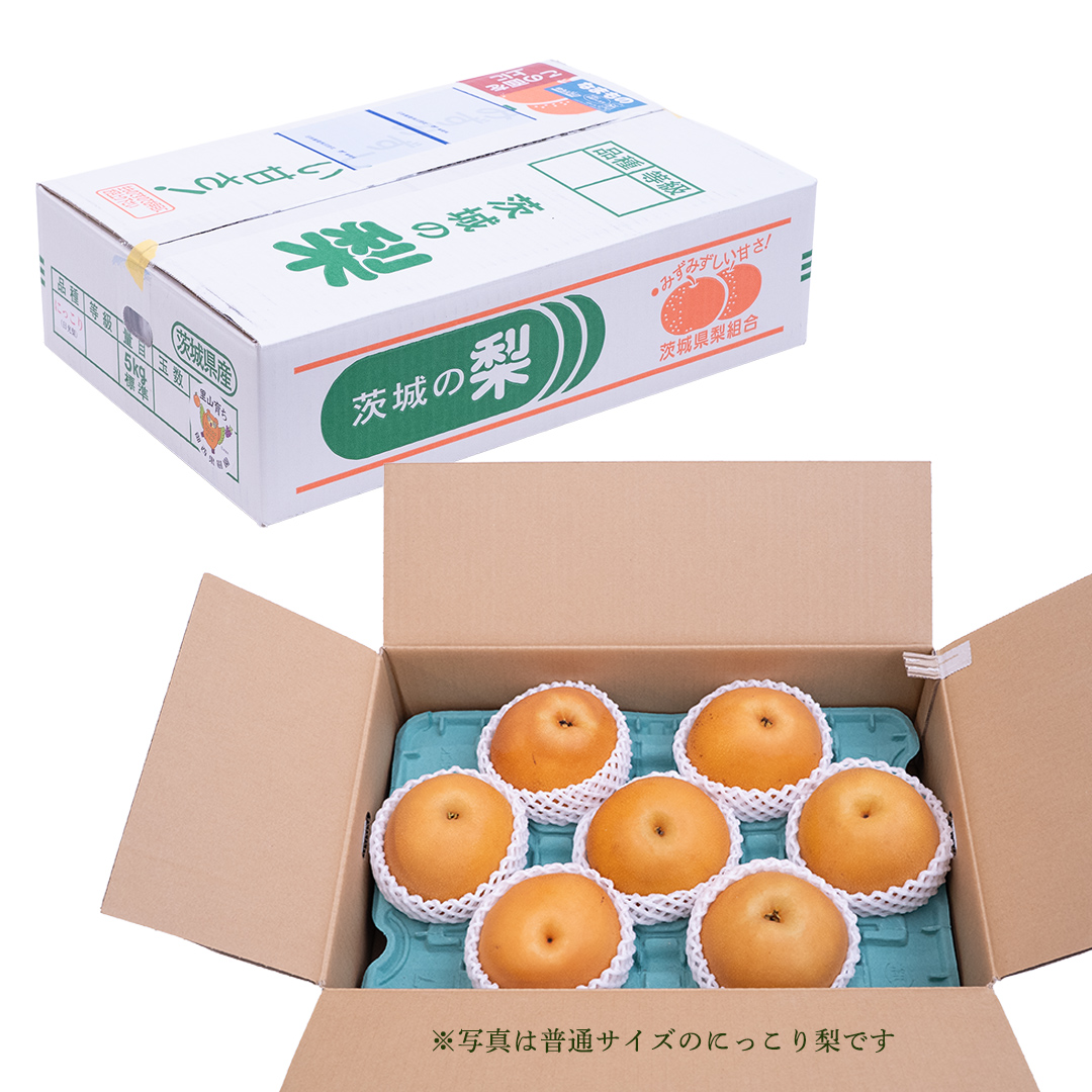 ＜農家直送＞梨 にっこり 4～6個 (3kg) 先行予約  (BB006)