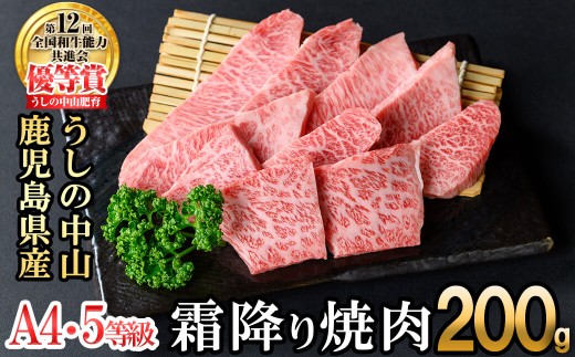 ＜A4・A5等級＞鹿児島県産黒毛和牛 うしの中山 霜降り焼肉用 200g 黒毛和牛 和牛 肉 牛肉 国産 九州産 鹿児島県産 焼肉 霜降り 日本一 a2-113