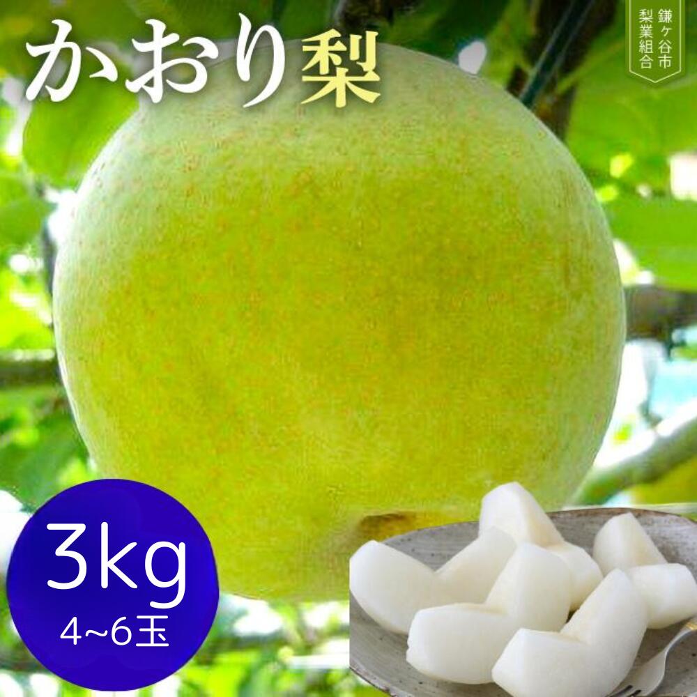 【ふるさと納税】梨 なし かおり 約 3kg 4～6玉 完熟 甘い 果物 フルーツ 和梨 贈答用 ギフト甘み 品種 千葉県 鎌ケ谷市 2025年8月以降順次発送 先行予約