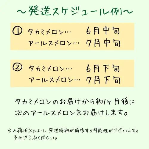 青果市場の野菜ソムリエ厳選 ジューシー メロン 2兄弟 定期便 全2回