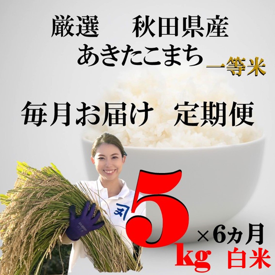 
            《定期便6ヶ月》秋田県産あきたこまち5kg×1袋 白米 白米 秋田県 あきたこまち 米 【(株)鈴木又五郎商店】[P4-2301]
          