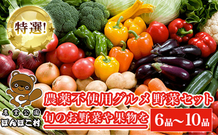 特選！農薬不使用グルメ野菜セット【旬のお野菜や果物を６品～10品】＜農業公園ぽんぽこ村＞ KAT001