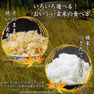 ふるさと納税 寒河江市 【先行受付】山形県産 つや姫玄米 8kg(4kg×2袋) |  | 02