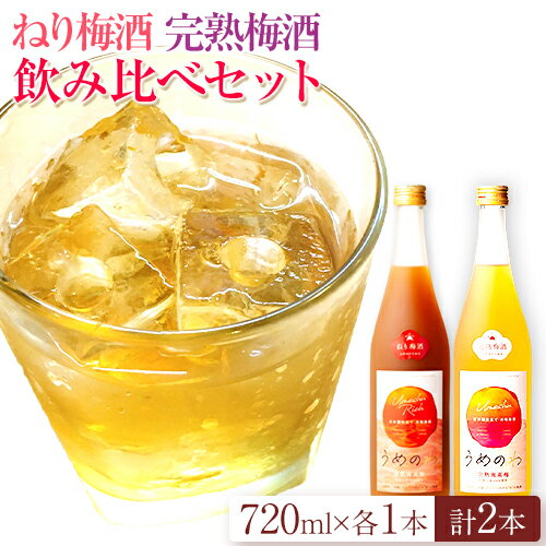 【ふるさと納税】【9月30日受付終了】　紀州完熟南高梅 ねりうめ酒 完熟梅酒 飲み比べセット 720ml×2本 厳選館 《90日以内に出荷予定(土日祝除く)》 和歌山県 日高町 酒 さけ お酒 飲み比べ 梅酒 1440ml