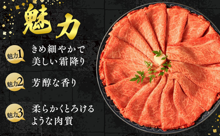 ★お試し★250g　訳あり 飛騨牛 焼き肉用 切り落とし 国産 和牛