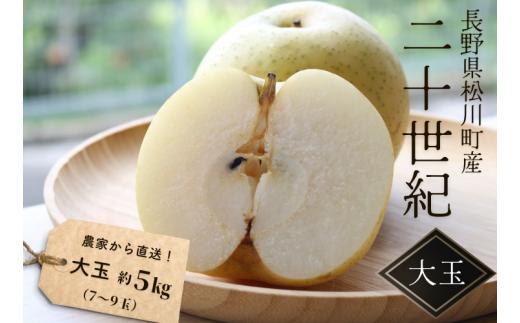 
                  KW05 梨 二十世紀 贈答大玉 約5kg（7～9玉） 長野県松川町産／9月中旬頃～順次発送予定//長野県 南信州 松川町 和梨 梨 なし ナシ 20世紀 約5㎏ 産地直送 農家直送 農家支援 贈答 二十世紀 大玉 果物 フルーツ
                