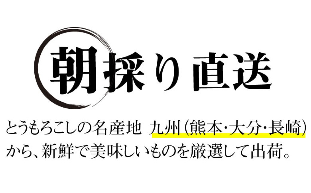 とうもろこし ゴールドラッシュ