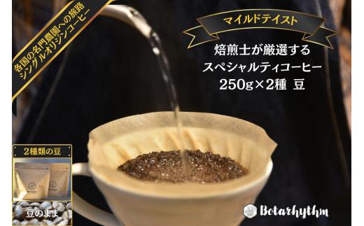 スペシャルティーコーヒー 【マイルドテイスト】 250g×2種類【豆のまま】 mi0043-0009-1 【コーヒー 飲料 焙煎 セレクト まろやか コク 甘味 ドリップコーヒー オリジナルレシピ付き マイルド】