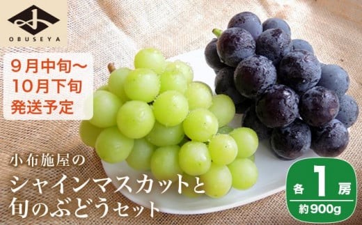 シャインマスカットと旬のぶどう 詰め合わせ 各1房 約900g［小布施屋］ 食べ比べ 果物 詰合せ セット フルーツ ぶどう 詰合せ 長野県産 信州産 2種 くだもの フルーツセット おまかせ ブドウ  2026 先行予約 令和8年産 【2026年9月中旬～10月下旬発送】 ［A-229］