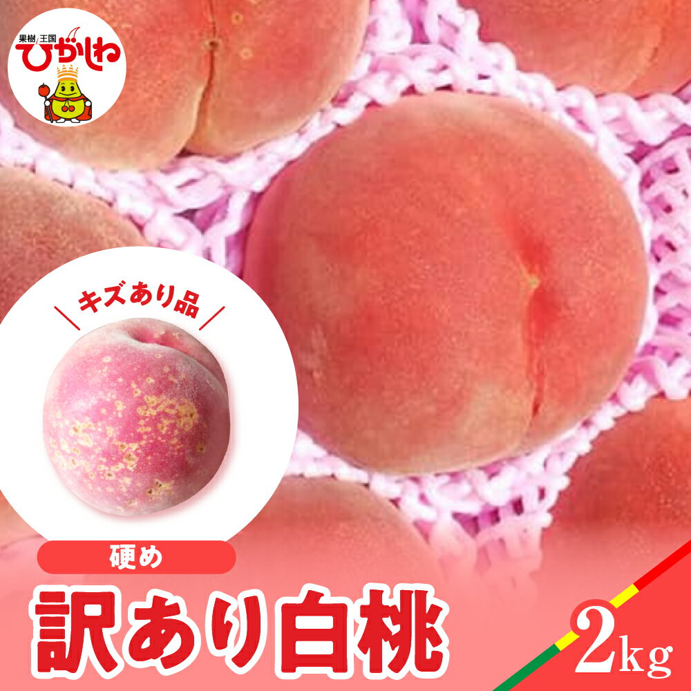 【ふるさと納税】【 2025年産 先行予約 】 白桃 品種おまかせ 訳あり 2kg (硬め)/ 桃 もも モモ ピーチ フルーツ 果物 くだもの 訳アリ 傷 規格外 不揃い 期間限定 大容量 冷蔵配送 先行予約 取り寄せ グルメ ご当地 特産 産地 直送 送料無料 東北 山形県 東根市