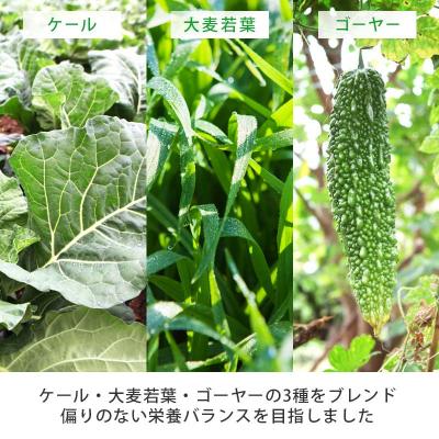 ふるさと納税 伊豆市 シリーズ累計販売数11億杯を突破した「青汁三昧」に乳酸菌200億個配合。「青汁三昧M-1」×5か月 |  | 03